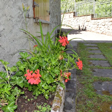 Lejlighed Il Boscaccio 